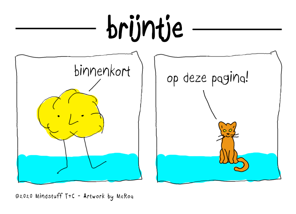 Introductie van Brijntje